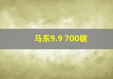 马东9.9 700碳